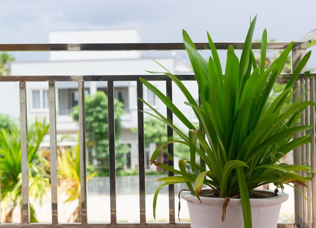 Overflow Guesthouse Siem Reap Exterior foto